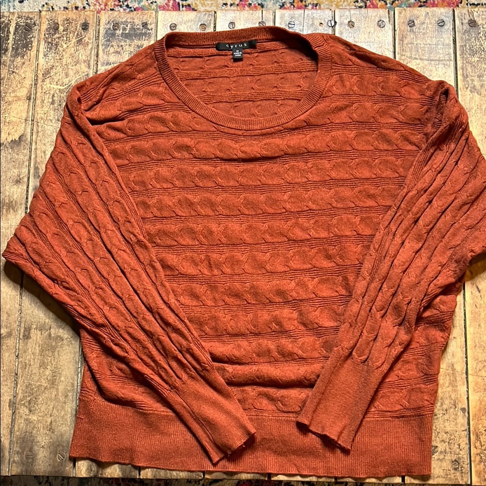 Burnt Orange  Cable Knit Sweater
